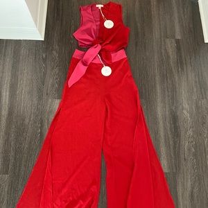 Red/Pink 2 piece set. (Pants and cropped blouse)